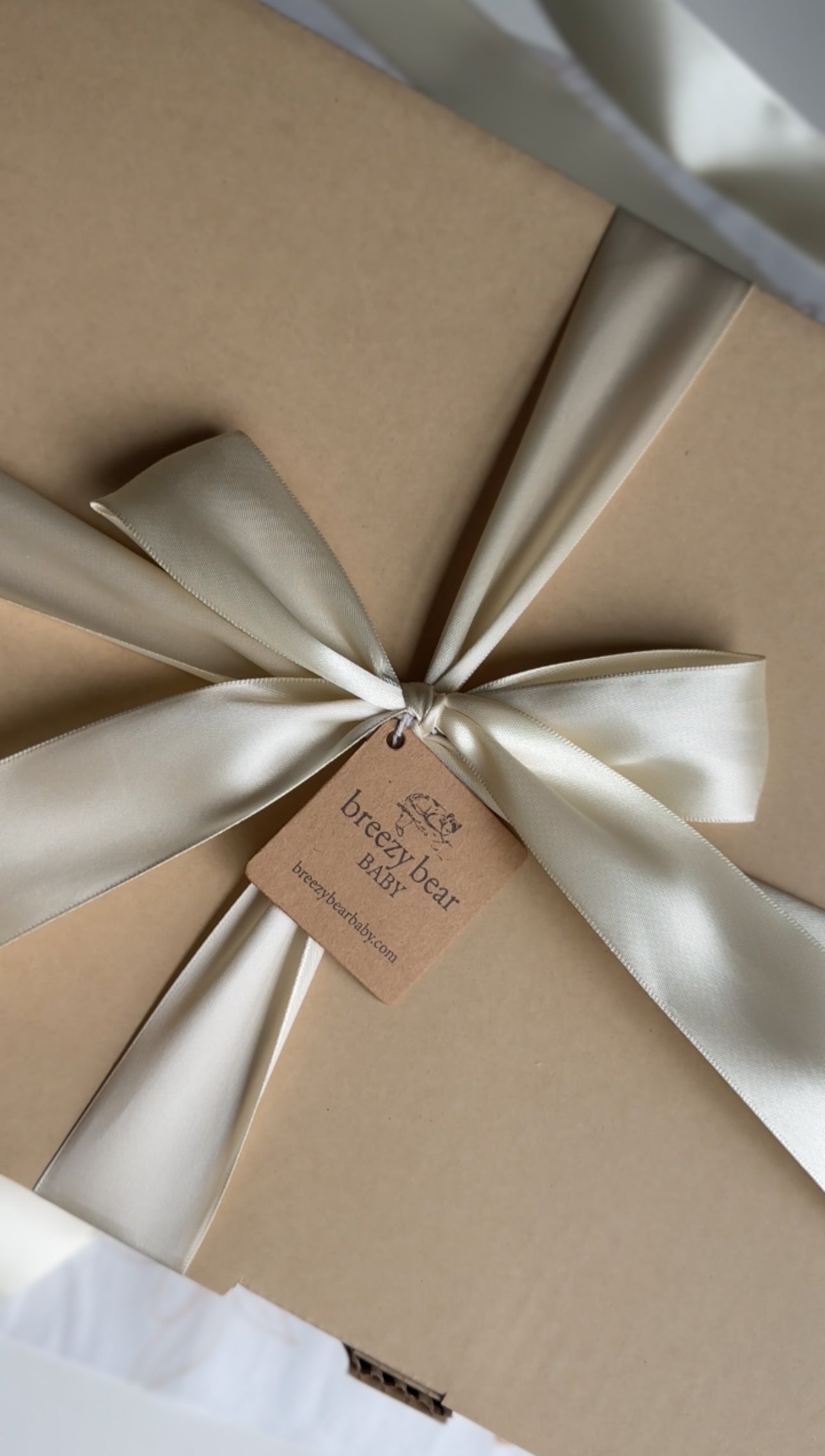 Breezy Bear Gift Box