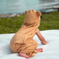 Bear Ear Hooded Towel